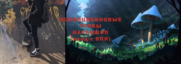 молекула духа Алексеевка