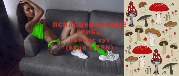 гидропоника Алзамай