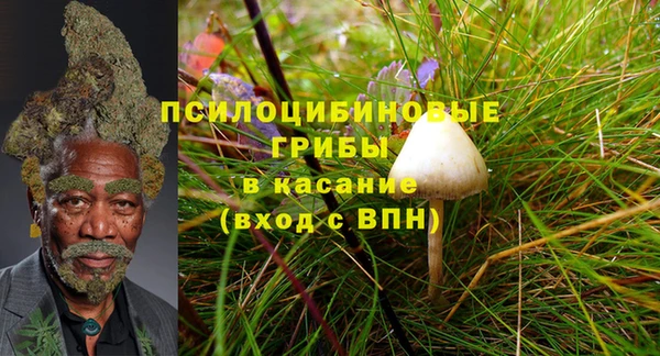 метадон Алексин