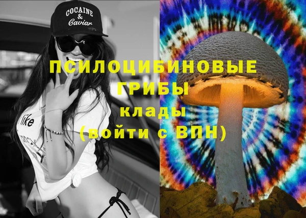 прущий лед Осинники