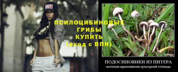 гидропоника Алзамай