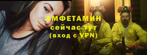 метадон Алексин